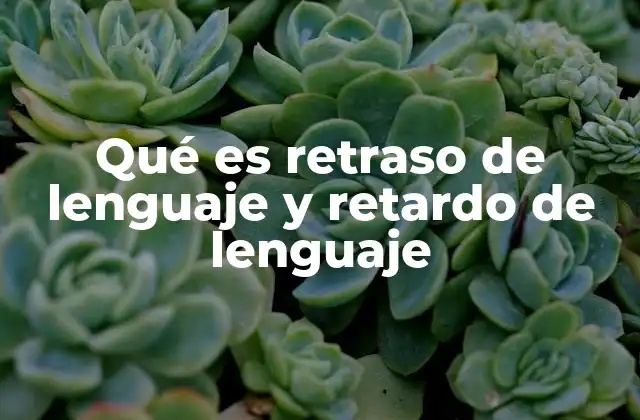 Qué es Retraso de Lenguaje y Retardo de Lenguaje 2 Diferencias entre retraso y retardo del lenguaje en el desarrollo infantil