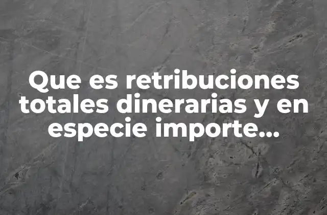 Que es Retribuciones Totales Dinerarias y en Especie Importe Íntegro