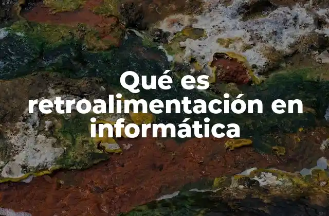 Qué es Retroalimentación en Informática