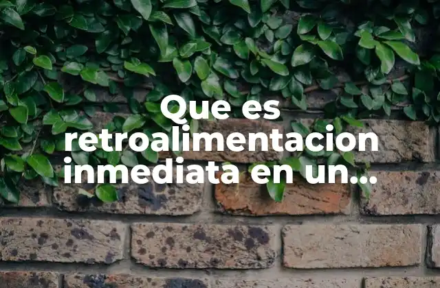 Que es Retroalimentacion Inmediata en un Lenguaje Oral