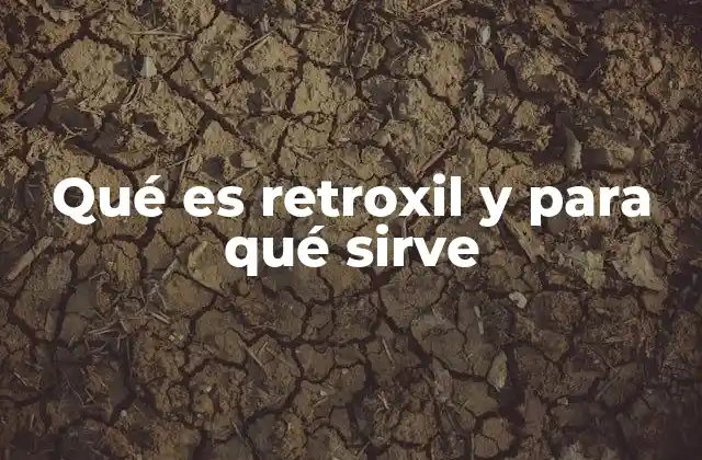 Qué es Retroxil y para Qué Sirve