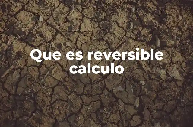 Que es Reversible Calculo 2 Fundamentos teóricos del cálculo reversible