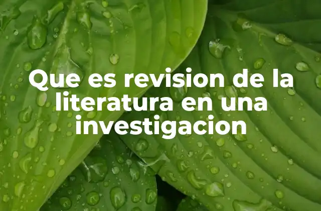Que es Revision de la Literatura en una Investigacion