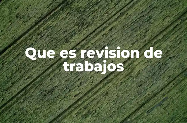 Que es Revision de Trabajos