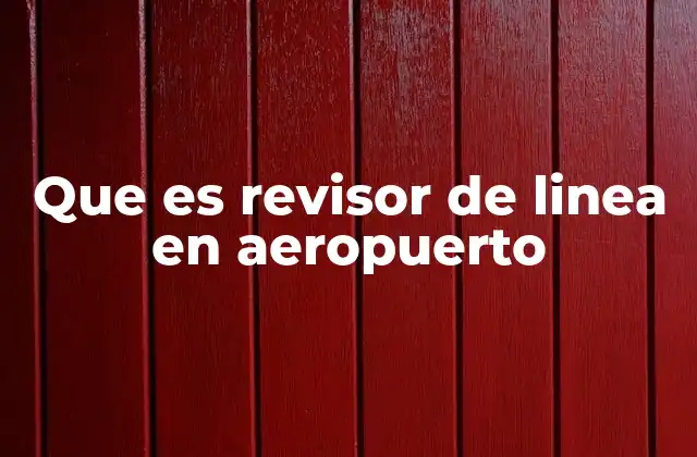 Que es Revisor de Linea en Aeropuerto