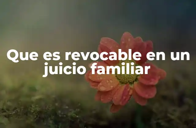 Que es Revocable en un Juicio Familiar