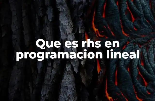 Que es Rhs en Programacion Lineal