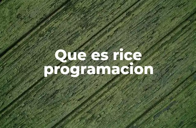 Que es Rice Programacion 2 Cómo el modelo RICE mejora la toma de decisiones en desarrollo