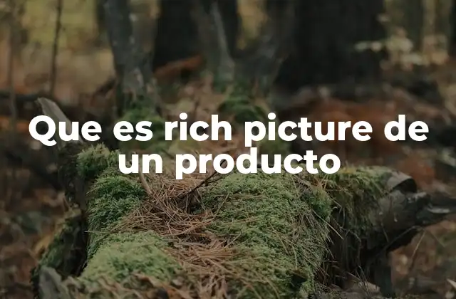 Que es Rich Picture de un Producto