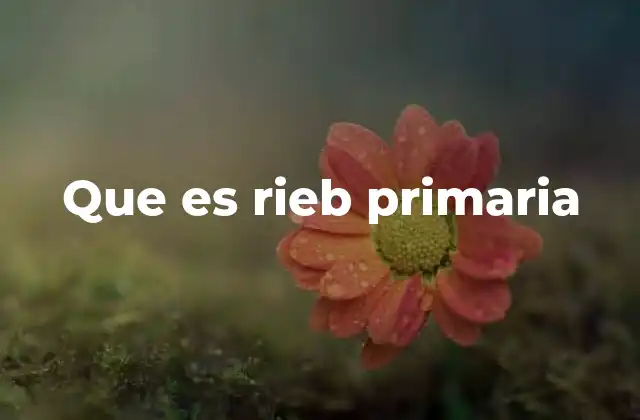 Que es Rieb Primaria