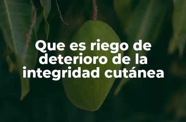 Que es Riego de Deterioro de la Integridad Cutánea 2 La importancia de la evaluación de la piel en la atención sanitaria