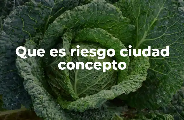 El riesgo como factor clave en el desarrollo urbano
