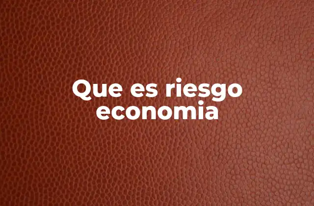 Que es Riesgo Economia