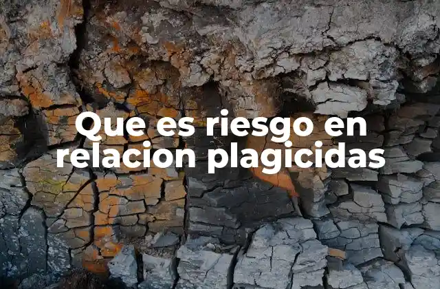 Que es Riesgo en Relacion Plagicidas