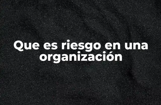 Que es Riesgo en una Organización