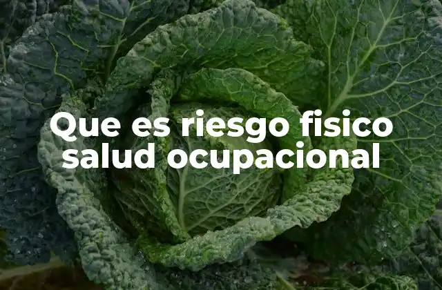 Que es Riesgo Fisico Salud Ocupacional