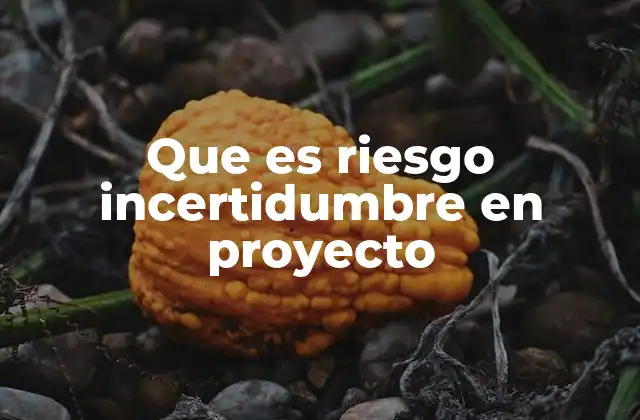 Que es Riesgo Incertidumbre en Proyecto