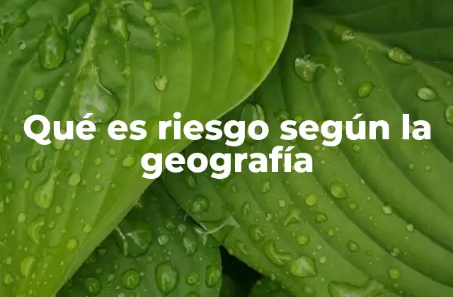 Qué es Riesgo según la Geografía