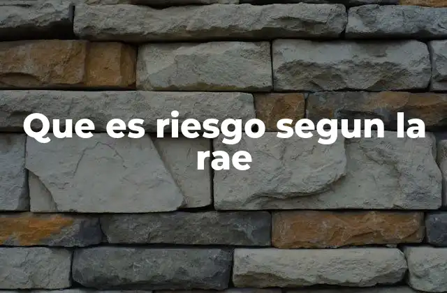 Que es Riesgo Segun la Rae