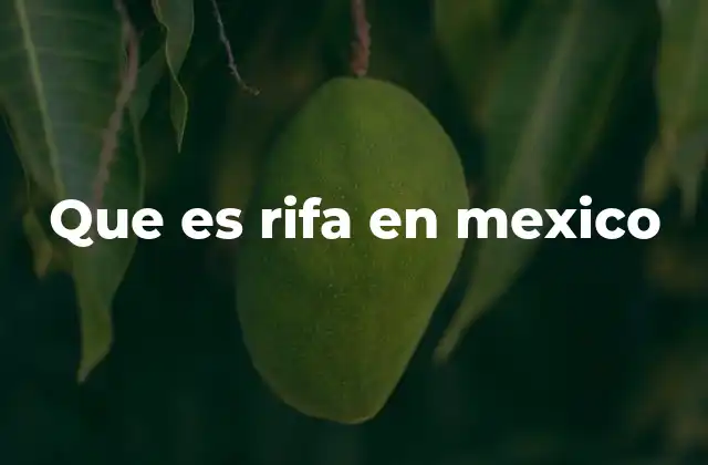 Que es Rifa en Mexico