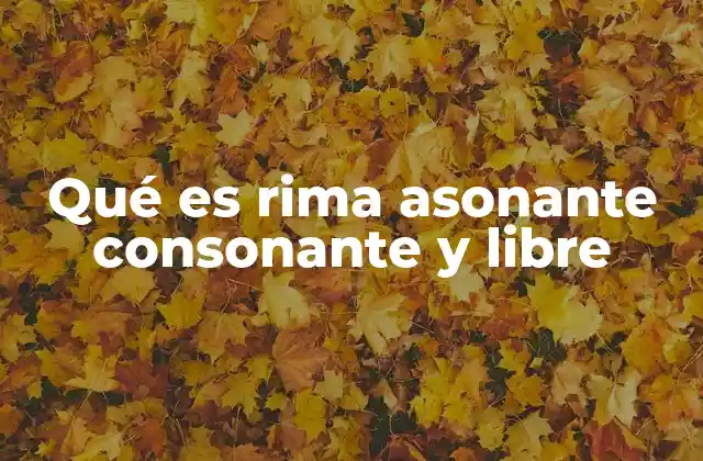 Qué es Rima Asonante Consonante y Libre