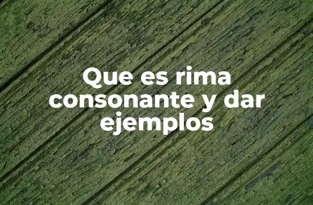 Que es Rima Consonante y Dar Ejemplos