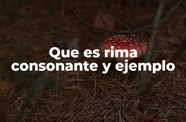 Que es Rima Consonante y Ejemplo