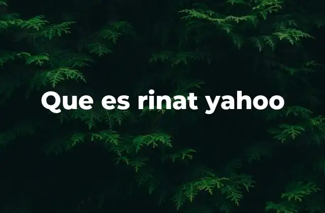 Que es Rinat Yahoo 2 El proceso de transformación de Yahoo
