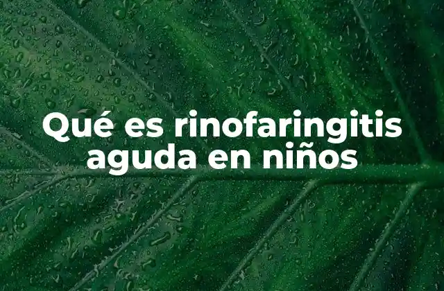 Qué es Rinofaringitis Aguda en Niños 2 Causas y factores de riesgo de la rinofaringitis en la infancia