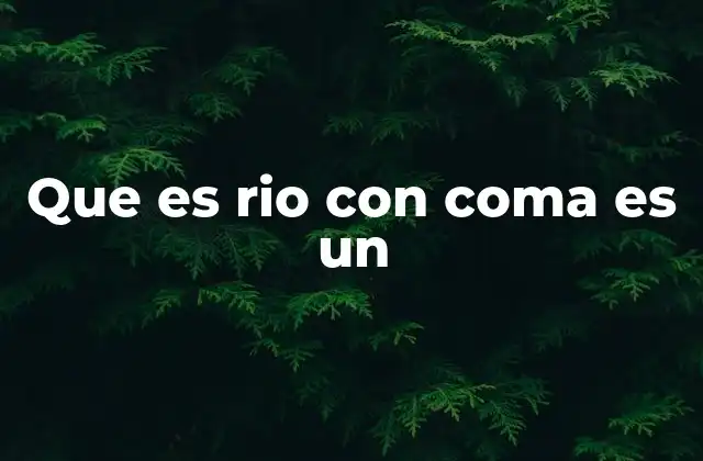 Que es Rio con Coma es un
