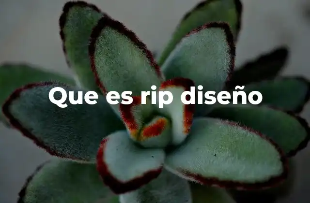 Que es Rip Diseño