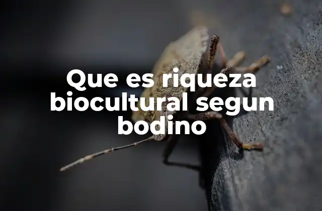 Que es Riqueza Biocultural Segun Bodino