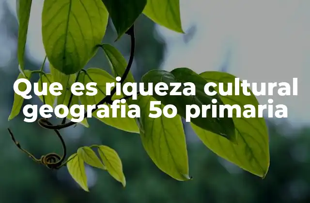 Que es Riqueza Cultural Geografia 5o Primaria
