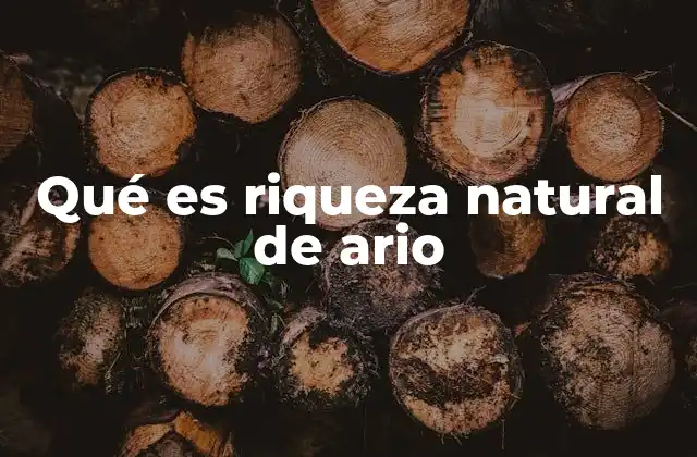 Qué es Riqueza Natural de Ario