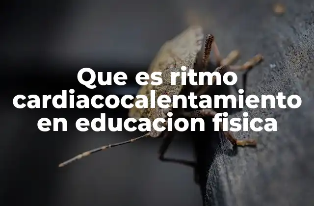 Que es Ritmo Cardiacocalentamiento en Educacion Fisica