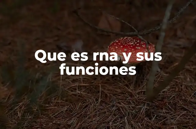 Que es Rna y Sus Funciones