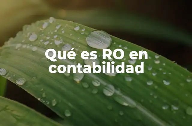 El papel del RO en el análisis financiero