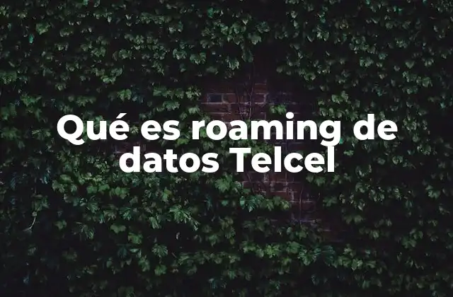 Qué es Roaming de Datos Telcel