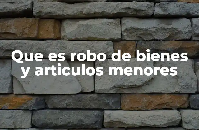 Que es Robo de Bienes y Articulos Menores