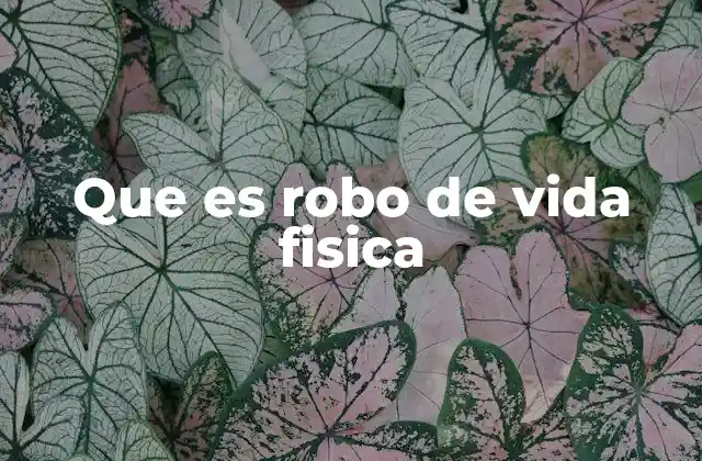 Que es Robo de Vida Fisica