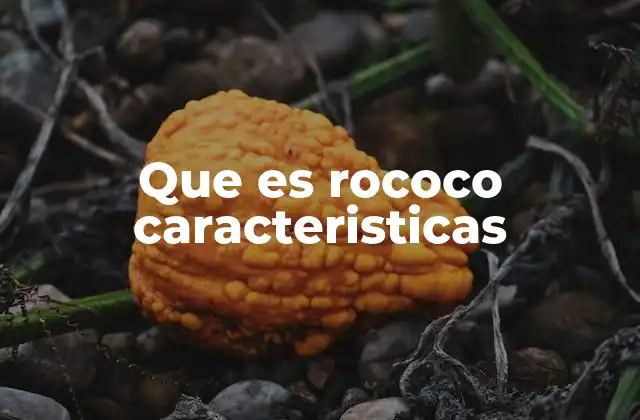 Que es Rococo Caracteristicas