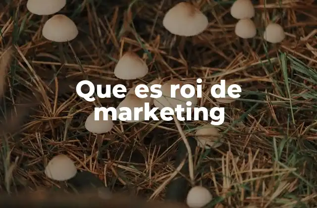 Que es Roi de Marketing
