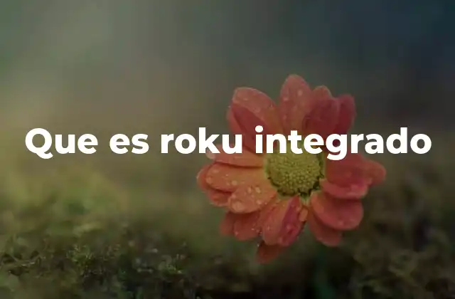 Cómo funciona el Roku integrado