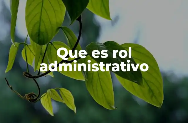 Que es Rol Administrativo