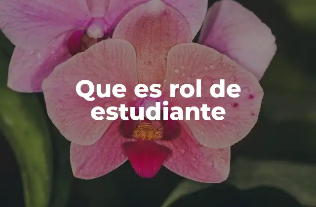 Que es Rol de Estudiante