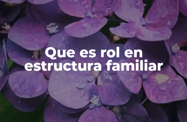 Que es Rol en Estructura Familiar