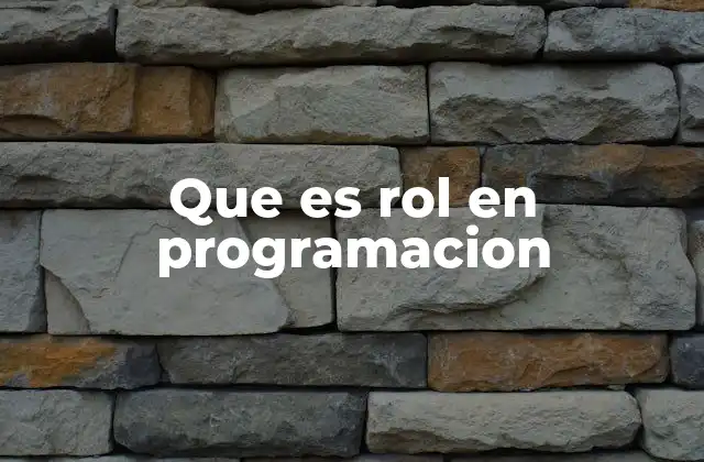 Que es Rol en Programacion