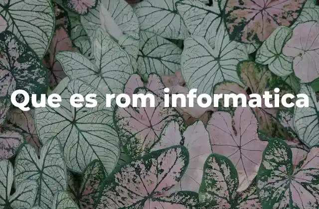 La importancia de la memoria ROM en los dispositivos electrónicos