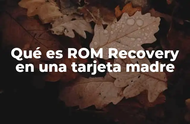 Qué es Rom Recovery en una Tarjeta Madre