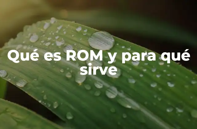 Qué es Rom y para Qué Sirve